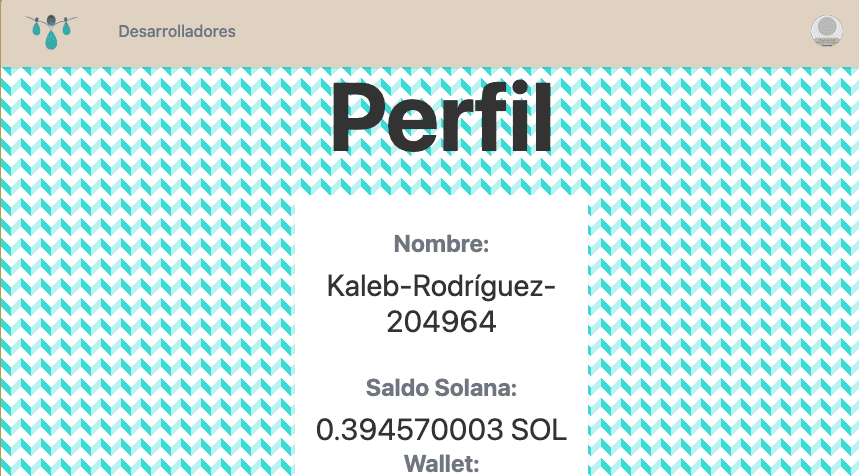 Captura del proyecto PaySol